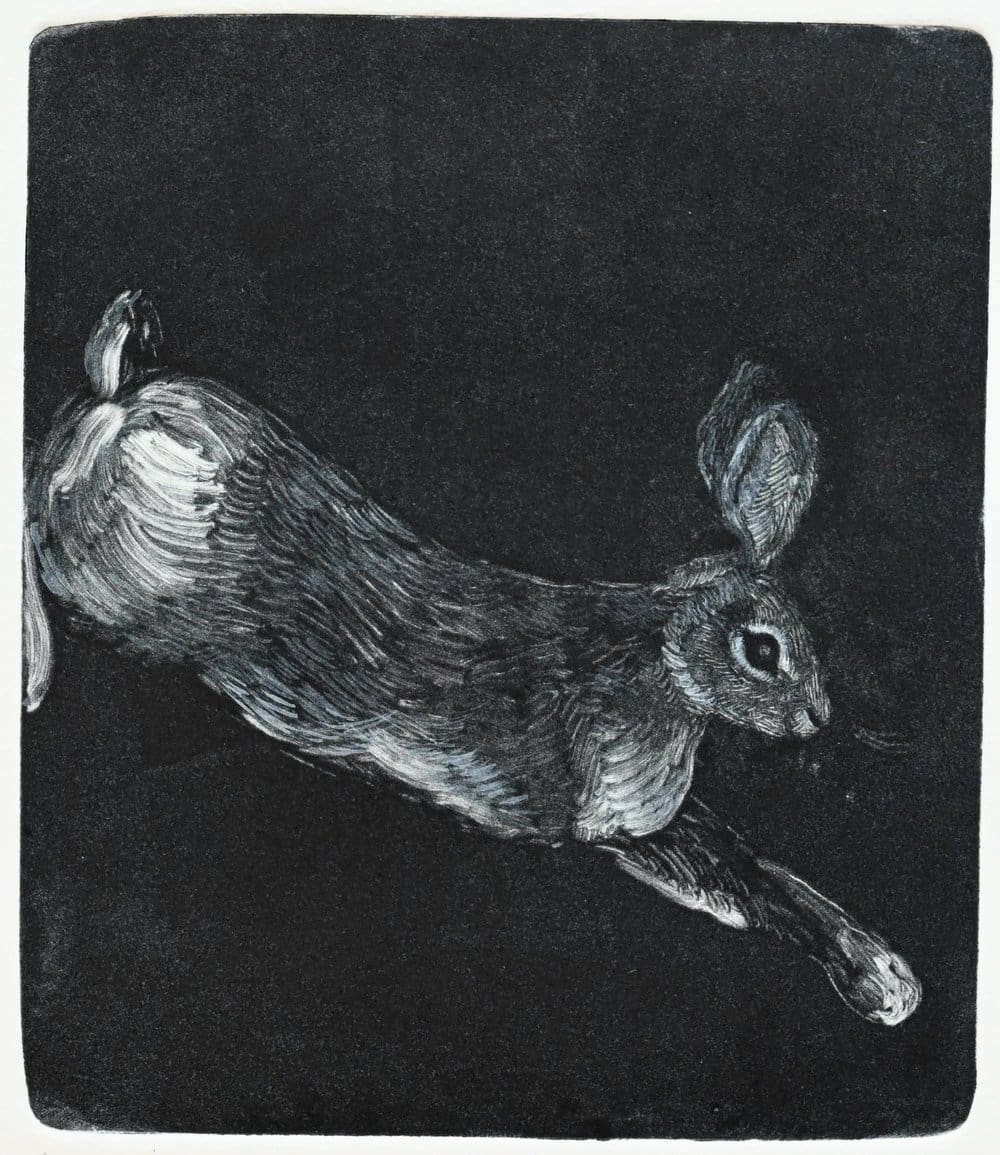 Intaglio & Monotype Printmaking - Summer 26 / Thu *NEW*