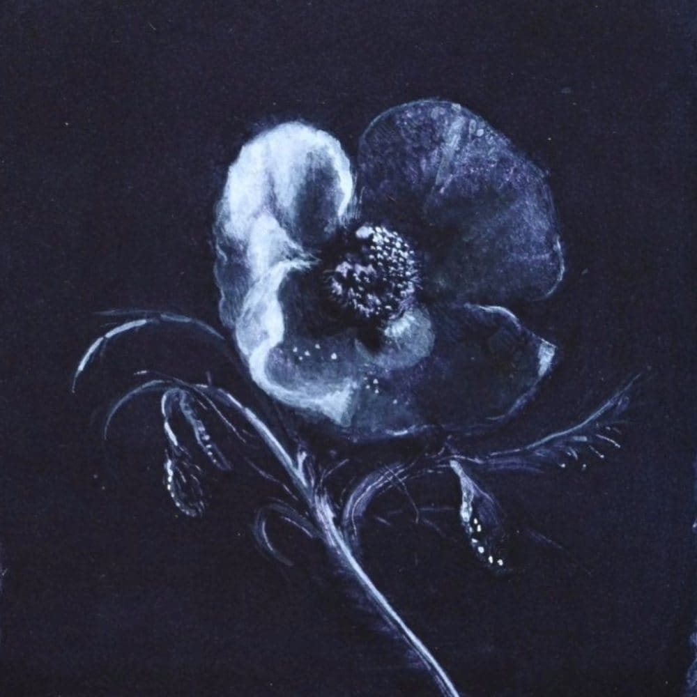 Intaglio & Monotype Printmaking - Summer 26 / Thu *NEW* - Image 4